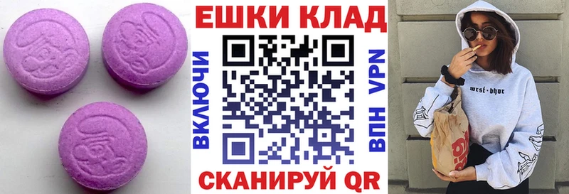 Ecstasy Philipp Plein  Купить  Балабаново 