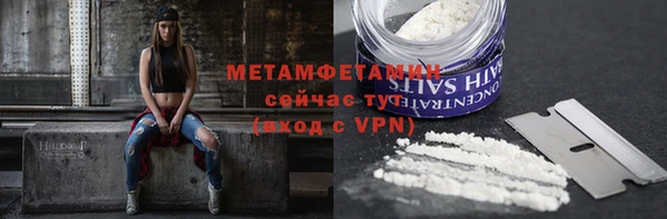 молекула духа Богданович