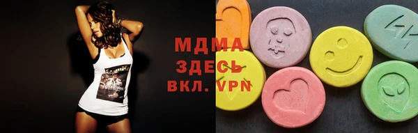 spice Богородск