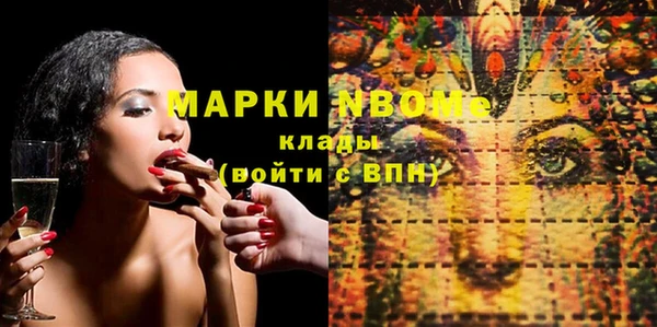 молекула духа Богданович