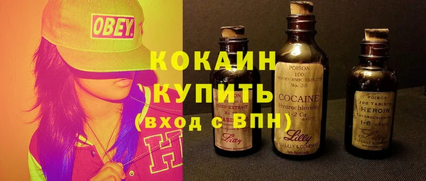 spice Богородск