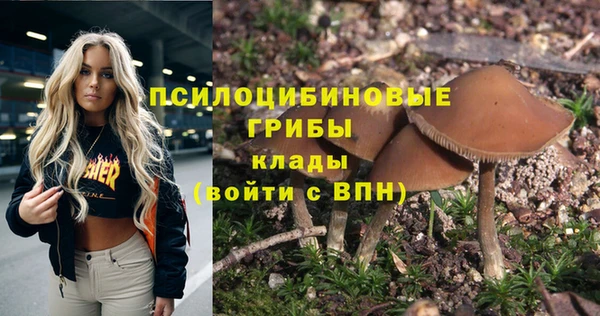 сатива Навашино