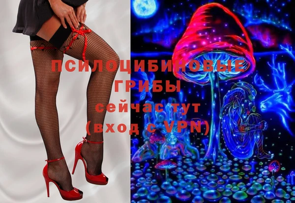 молекула духа Богданович