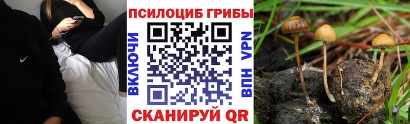 Галлюциногенные грибы мицелий Балабаново
